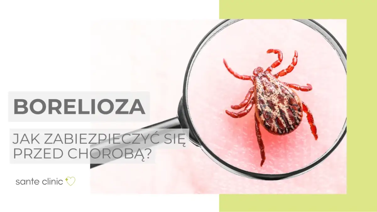 Kleszcze i borelioza: Jak skutecznie zapobiegać i co robić po ukąszeniu?