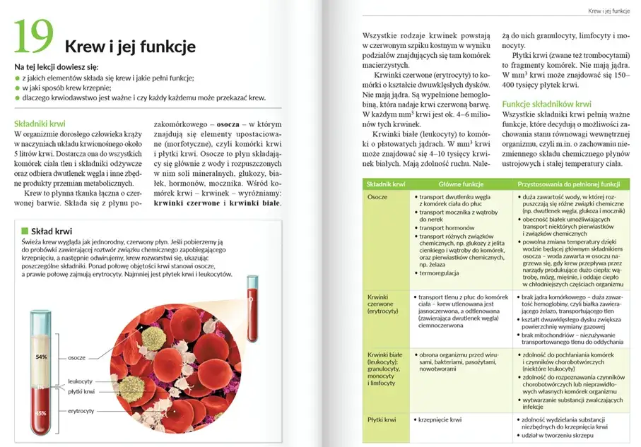 Gdzie znaleźć sprawdziany z Nowej Ery, by skutecznie się uczyć?