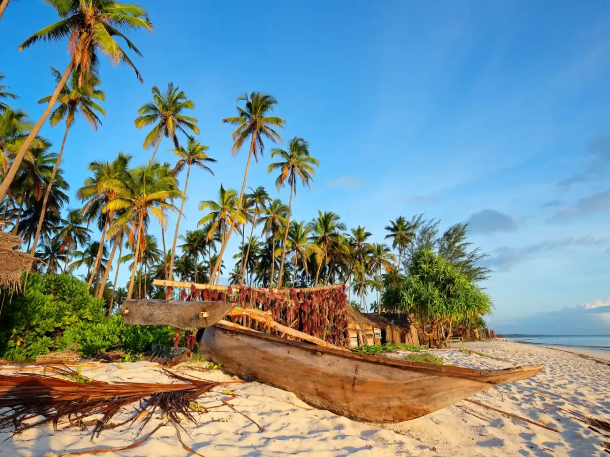 Ile kosztuje lot do Afryki? Ceny, triki i tanie bilety!