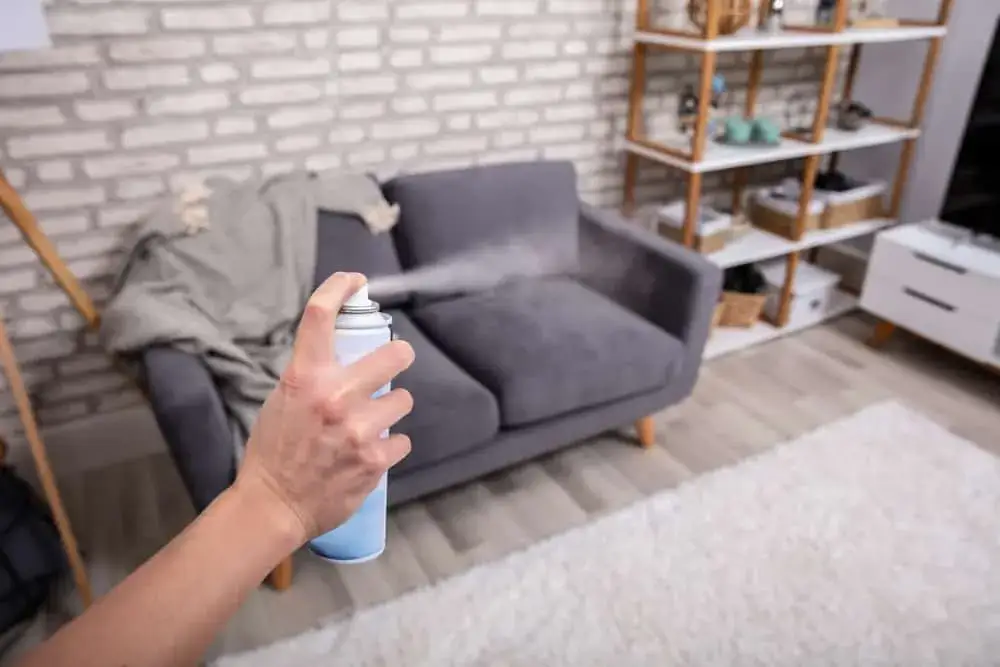 Jak usunąć zapach piwa z kanapy? Sprawdzone metody i porady