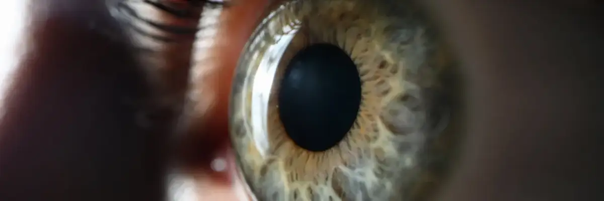 Z czego wynika daltonizm? Poznaj przyczyny i ich skutki