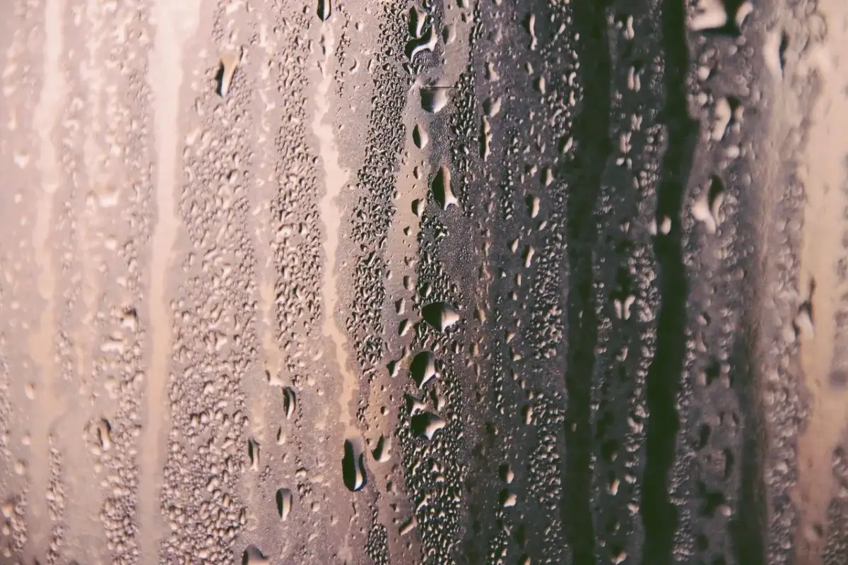 Jak pozbyć się wilgoci z okien - proste sposoby na skuteczne osuszenie