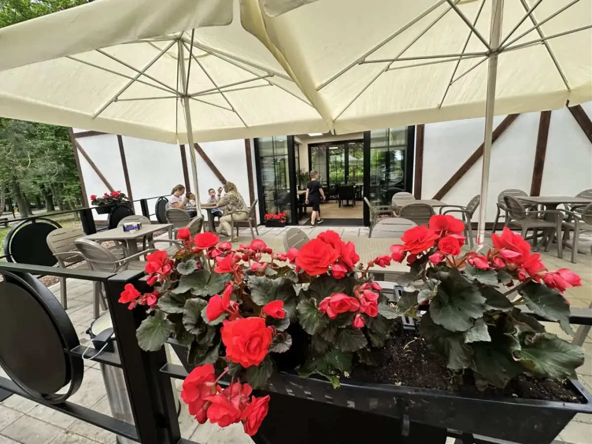 Gdzie zjeść w Szczawnie-Zdroju? Odkryj kulinarne perełki!