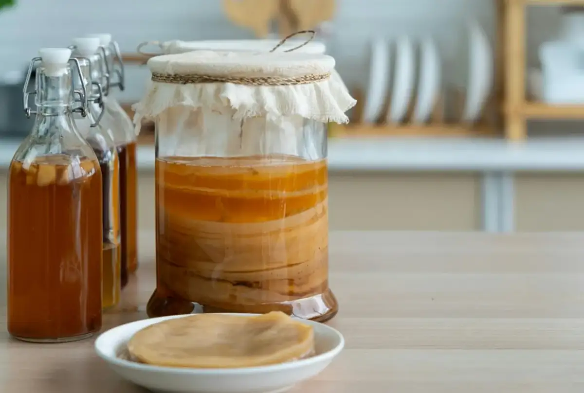Kombucha: Jak często pić? Bezpieczne dawkowanie i porady eksperta