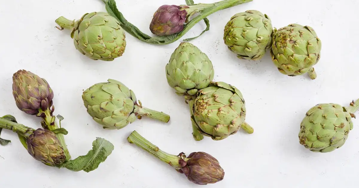 Kiedy jest sezon na karczochy? Sprawdź najlepszy czas na świeże warzywa