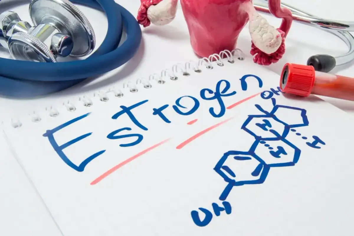 Model macicy, stetoskop i probówka krwi na notatniku z napisem "Estrogen" i wzorem chemicznym. Kiedy najlepiej badać estradiol?