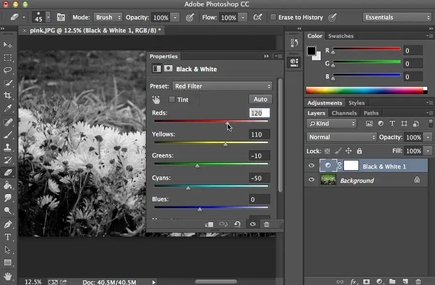 Jak rozjaśnić zdjęcie w Photoshopie? Proste i zaawansowane metody