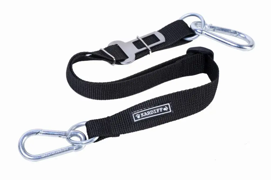 Jaka smycz dla psa? Klucz do bezpiecznych i radosnych spacerów