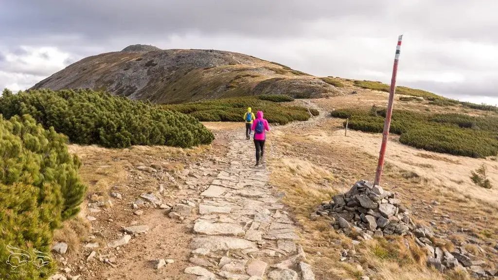 Czerwony szlak na Babią Górę: Ile km, czas, trudność? Poradnik.
