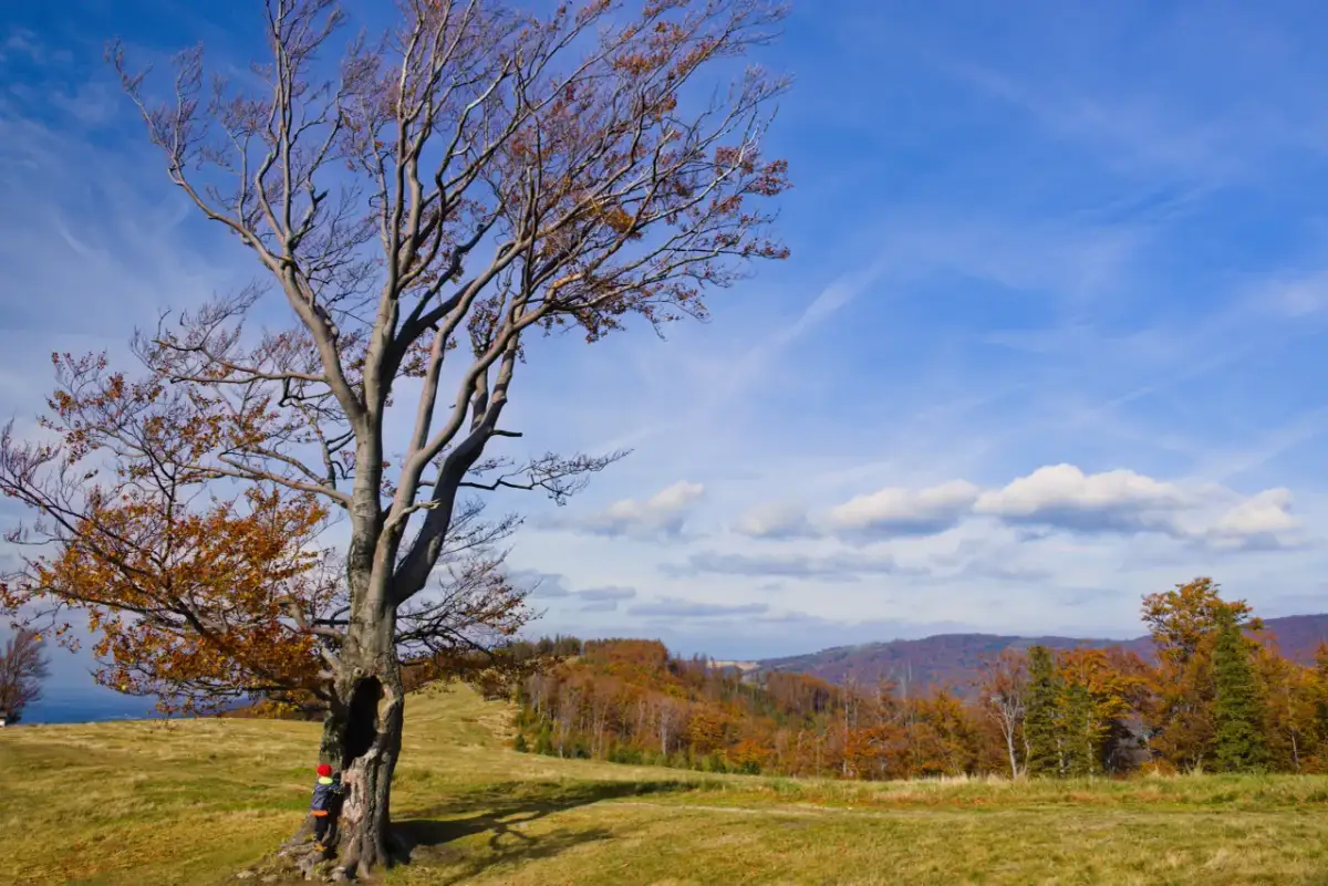 Jakie góry ciągną się na granicy polsko-słowackiej? Odkryj ich tajemnice