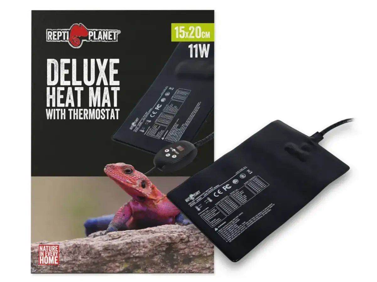 Mata grzewcza w terrarium: Jak zainstalować bezpiecznie?