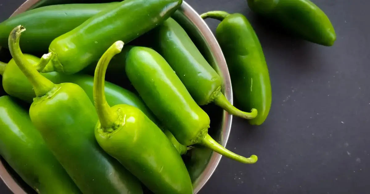 Garnek pełen zielonych papryczek jalapeno. Czy jalapeno jest zdrowe? Tak, jest bogate w witaminy i antyoksydanty.