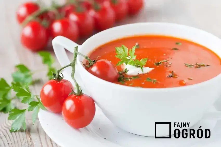 Prawdziwa zupa pomidorowa ze świeżych pomidorów: Przepis krok po kroku