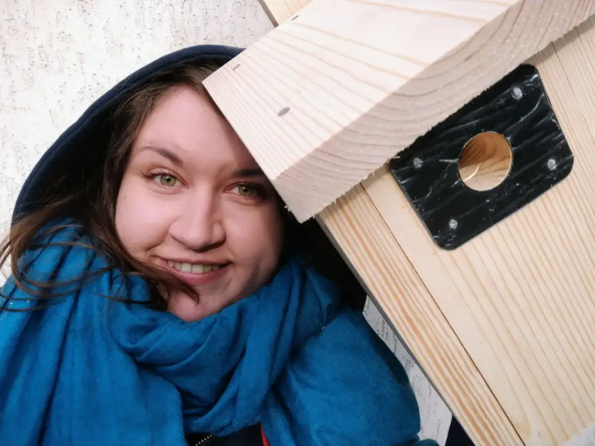 Jak zbudować idealną budkę lęgową dla nimfy? Wymiary i porady