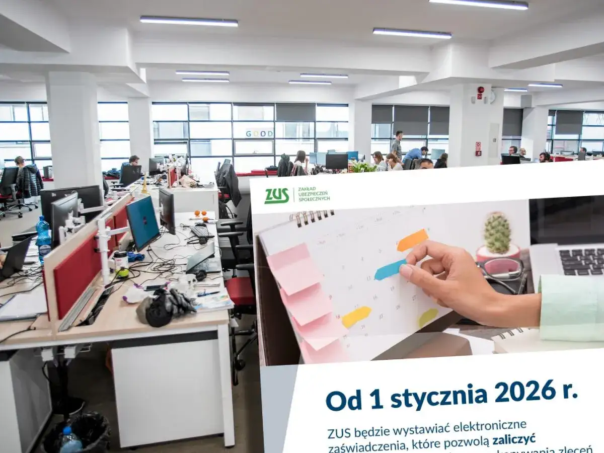 Staż to praca? Rozwiej wątpliwości o prawach i ZUS