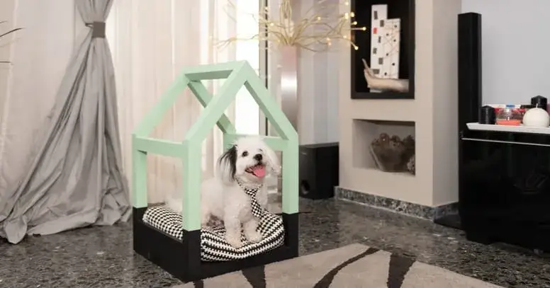 Jak zrobić legowisko dla psa z palet - proste kroki i bezpieczeństwo