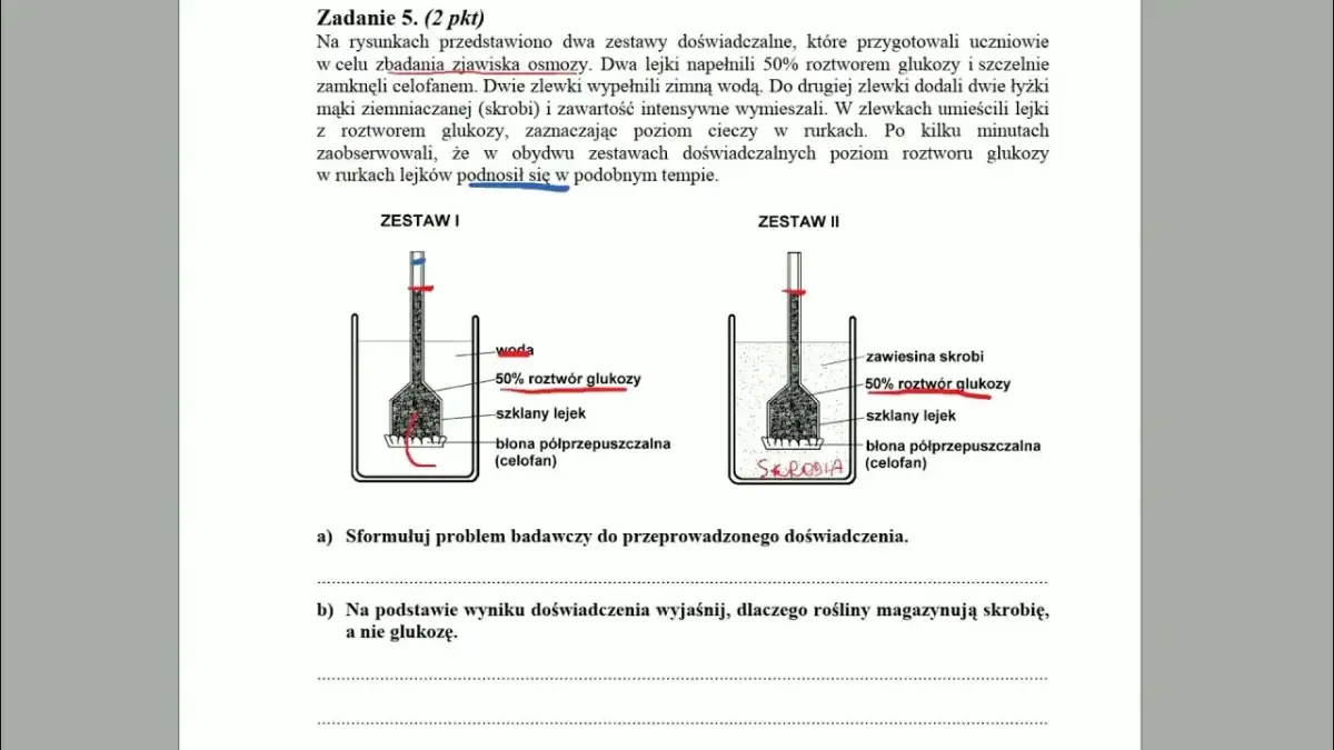 Zjawisko osmozy: Jak działa i dlaczego jest kluczowe w biologii?
