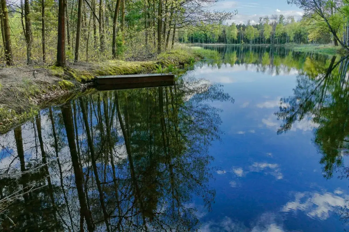 Jezioro Dąbie: Aktywny wypoczynek i relaks. Co musisz wiedzieć?