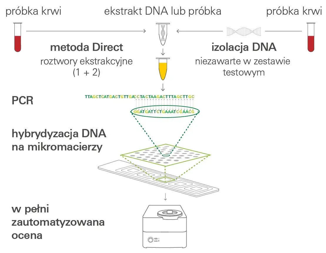 Co wykrywa badanie mikromacierzy? Kluczowe informacje o nieprawidłowościach