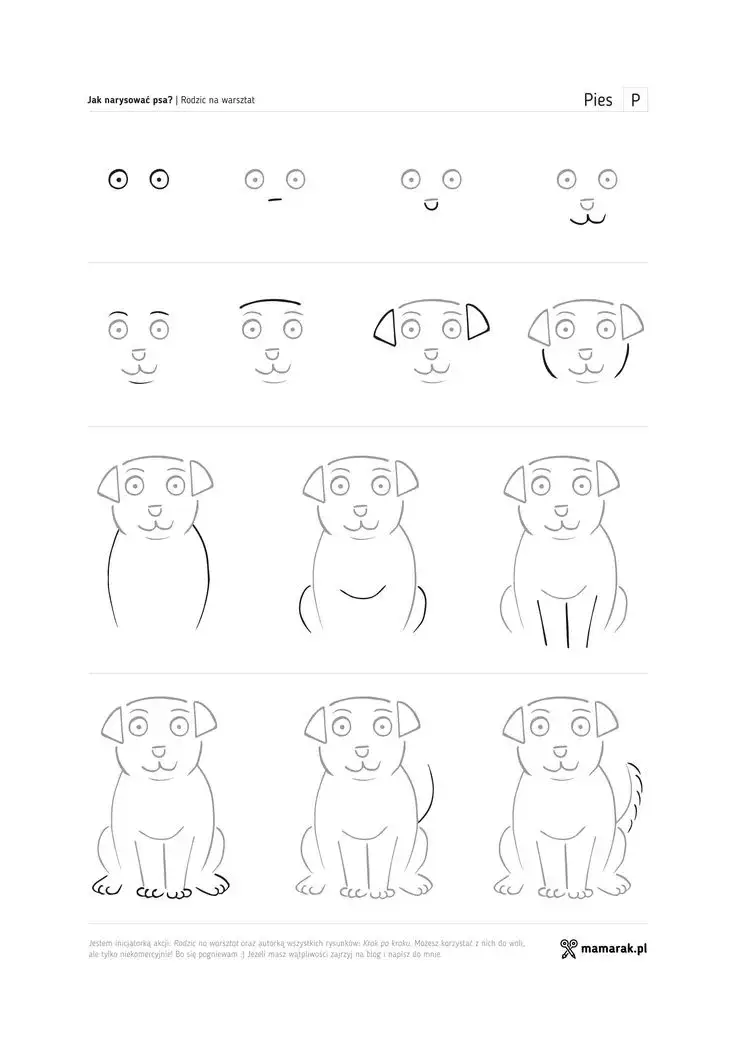 Jak łatwo narysować zwierzęta domowe – proste kroki dla początkujących