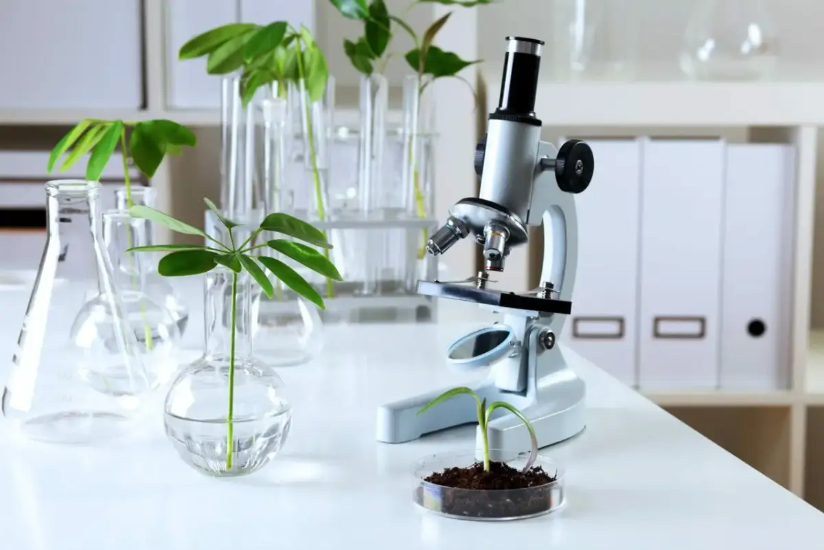 Biologia sądowa czy warto? Odkryj korzyści i perspektywy kariery