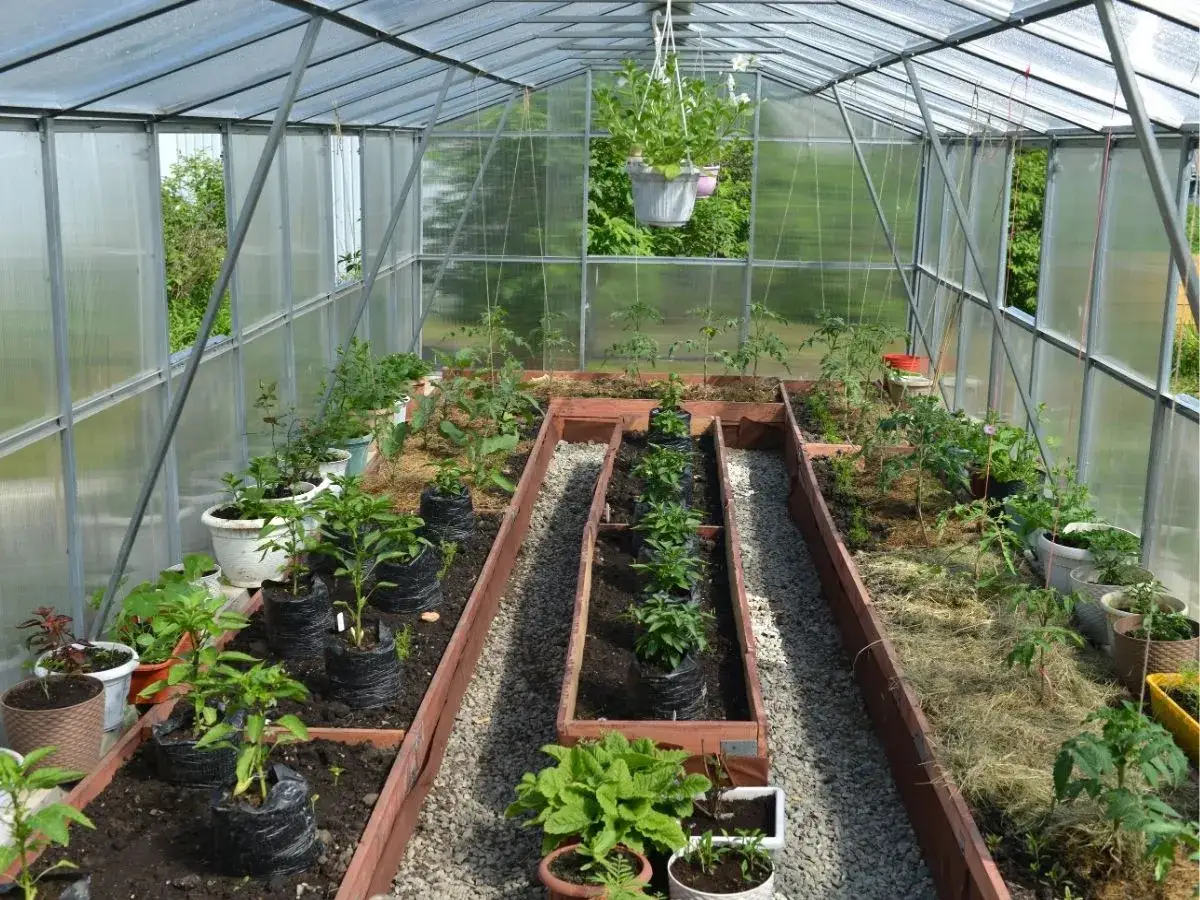 Najlepsza szklarnia ogrodowa – wybierz idealne rozwiązanie dla siebie