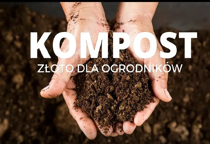 Jak długo robi się kompost? Poznaj czynniki wpływające na czas kompostowania