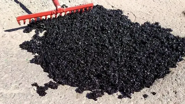 Ile schnie asfalt na zimno? Sprawdź, kiedy możesz jeździć po naprawie