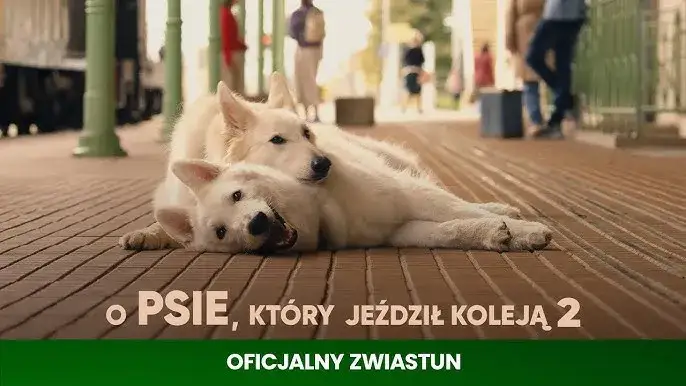 Film o psie który jeździł koleją dla dzieci – wzruszająca historia przyjaźni