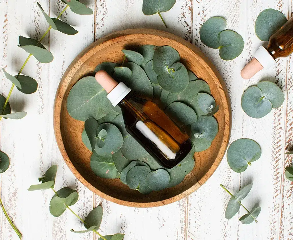 Eukaliptus olejek na co? Odkryj jego niezwykłe właściwości zdrowotne