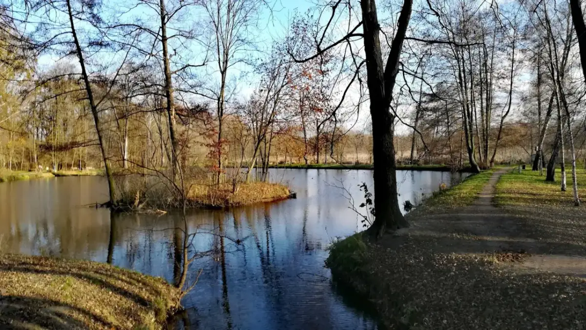 Gdzie zjeść w Pruszkowie? Sprawdź TOP miejsca na każdą okazję!