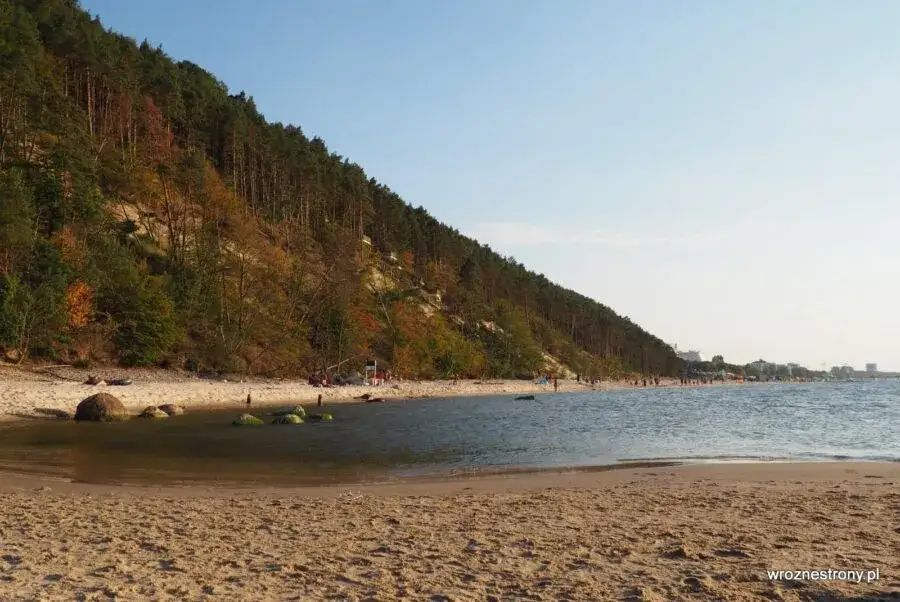 Wyspa Wolin: Atrakcje dla każdego Wikingowie, żubry i morze!