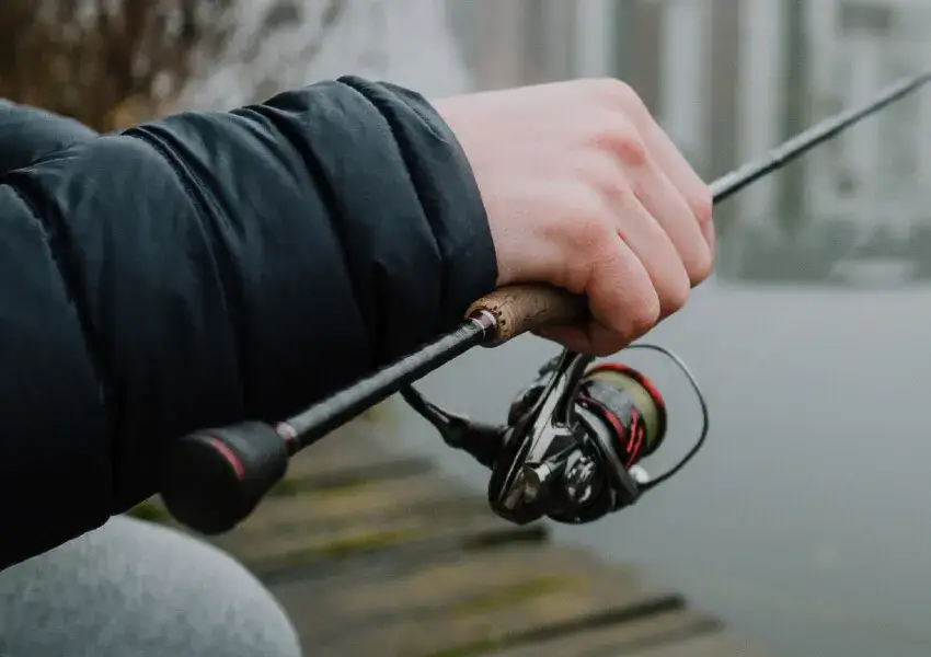 Jaka wędka na okonia? Oto najważniejsze cechy do wyboru idealnej wędki