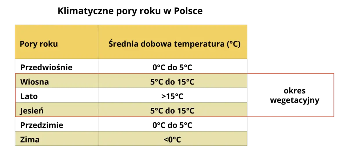 Jaki klimat w Polsce? Poznaj 6 pór roku i zmiany klimatu