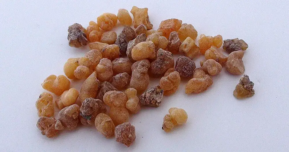 Jak stosować olejek z kadzidłowca? Praktyczny poradnik