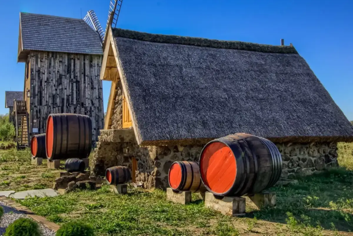 Skansen Bicz atrakcje: Dziki Zachód, zwierzęta i wieś dla rodzin