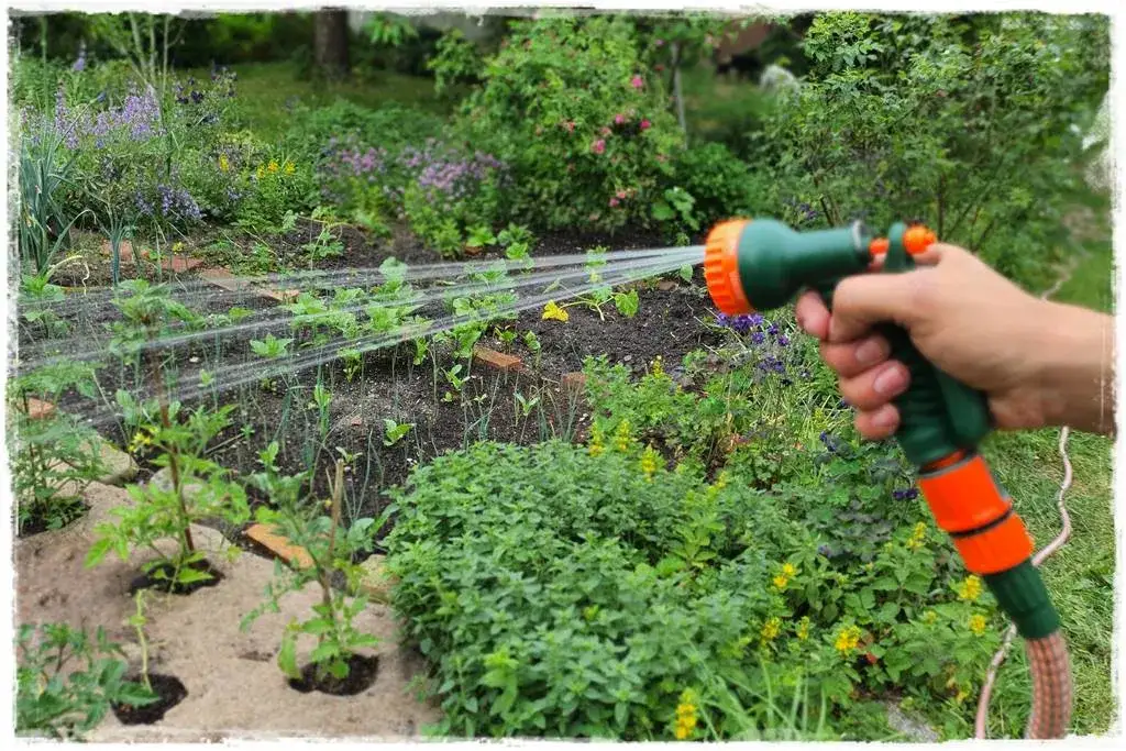 Jak naprawić wąż ogrodowy rozciągliwy i uniknąć kosztownych błędów