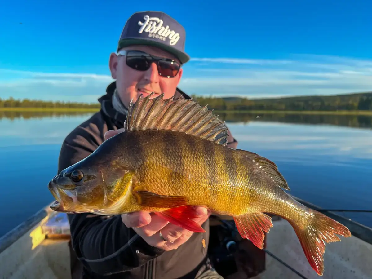 Kryl na jakie ryby - skuteczne przynęty na wędkarskie sukcesy