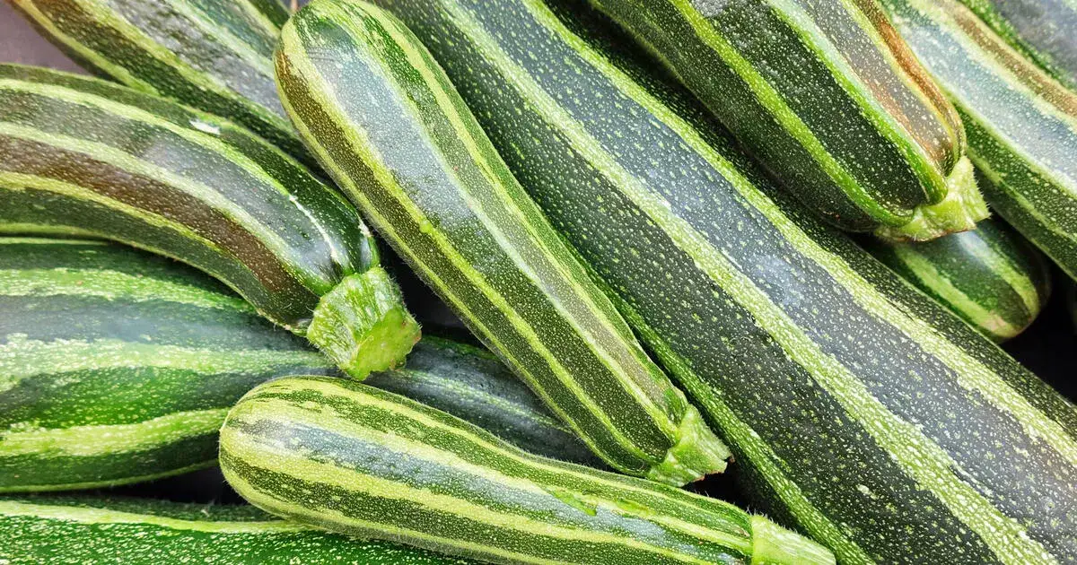 Zucchini richtig aufbewahren: So bleibt dein Gemüse frisch und knackig