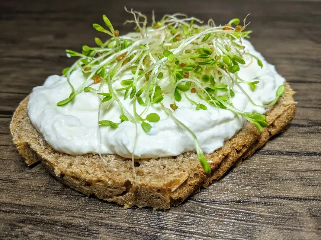 Jak zrobić ser kozi bez podpuszczkowy - alternatywy i przepisy bez rennet