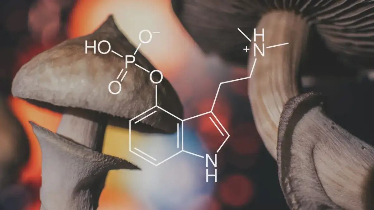 Grzyby halucynogenne z nałożonym wzorem chemicznym psylocybiny.