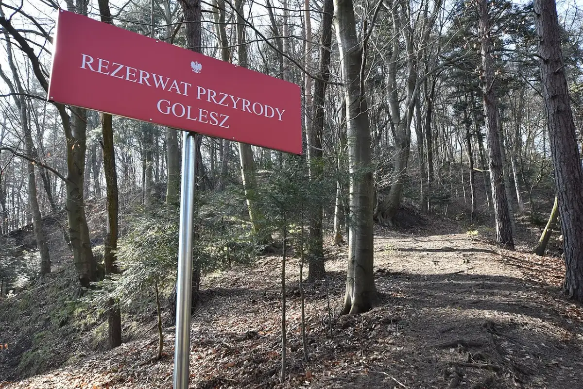 Czerwony znak informuje o wejściu do **rezerwat przyrody Golesz**. Ścieżka prowadzi przez las pełen drzew.