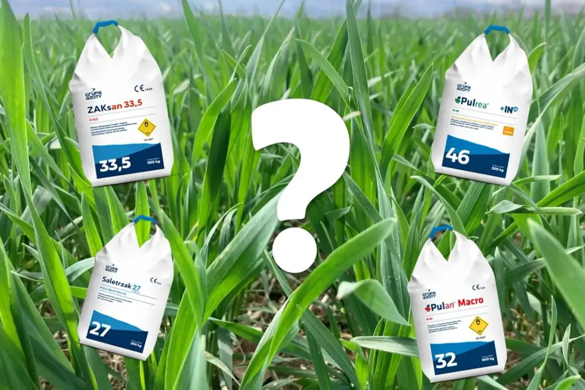 Jaki nawóz na 2 dawkę azotu? Odkryj skuteczne rozwiązania dla zbóż
