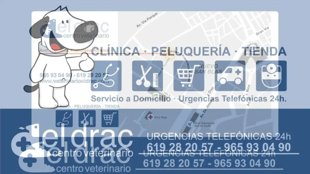 El Drac veterinario: atención profesional y servicios para tu mascota