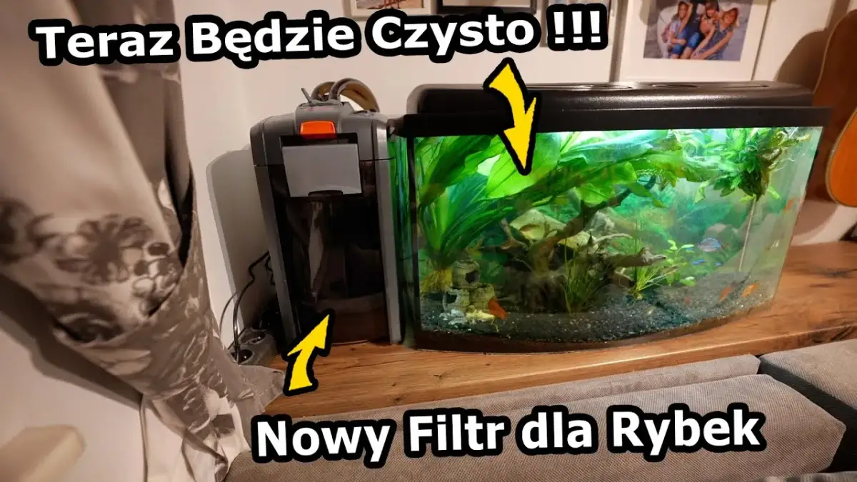 Jak zamontować filtr w akwarium - uniknij najczęstszych błędów
