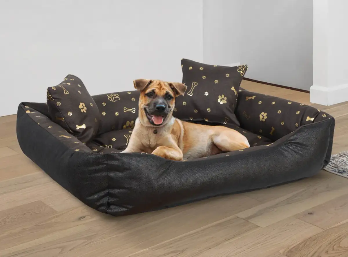 Szczęśliwy piesek leży na wygodnym, ciemnobrązowym legowisku dla psa, które można prać. Wzór w kości i łapki dodaje uroku.