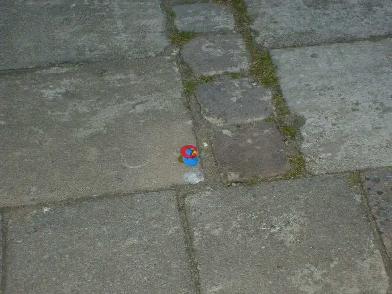 Dudek: Jak rozpoznać ptaka z "irokezem"? Pełny przewodnik