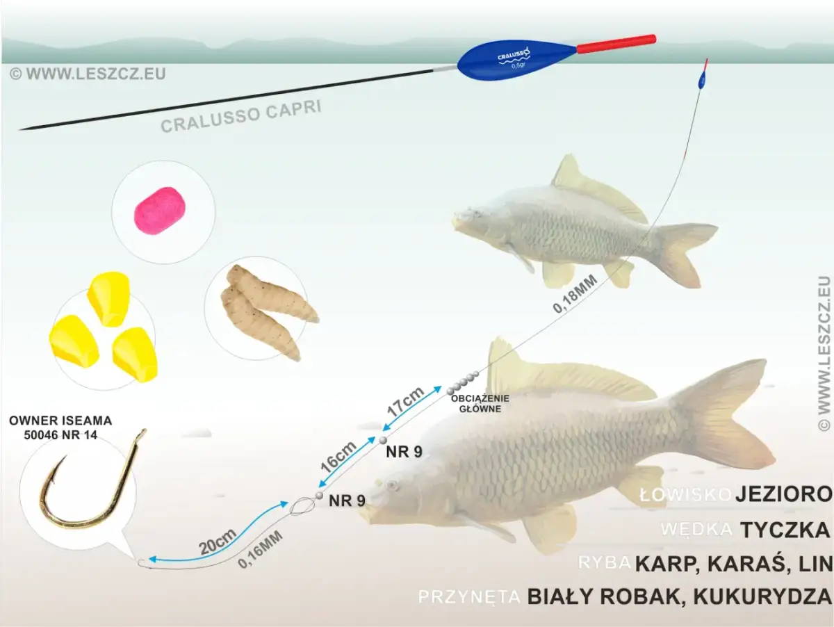Jaki spławik na karpia? Wybierz idealny i łów skuteczniej!