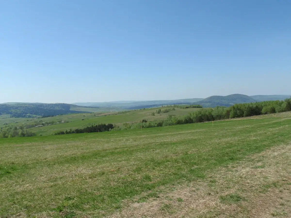 Zielone wzgórza i lasy rozciągają się aż po horyzont. Idealne miejsce na przymiarki do punktu widokowego.