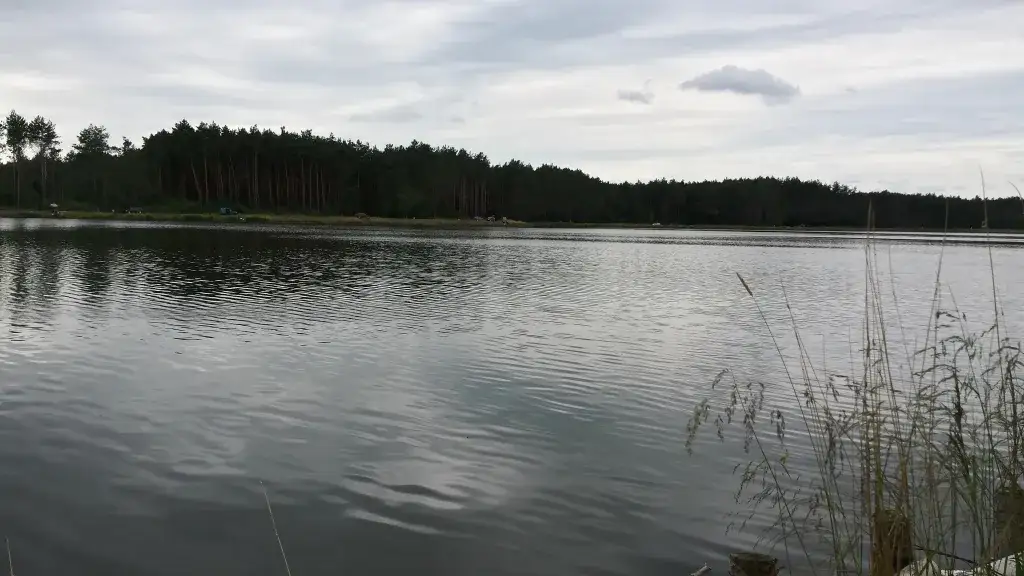 Łowisko Jagodno: idealne miejsce na spokojne wędkowanie i relaks